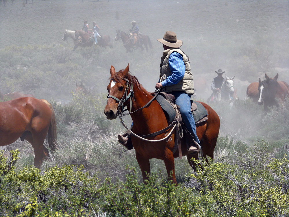 Cowboy Cowboy
