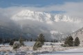 Foggy Mtn
