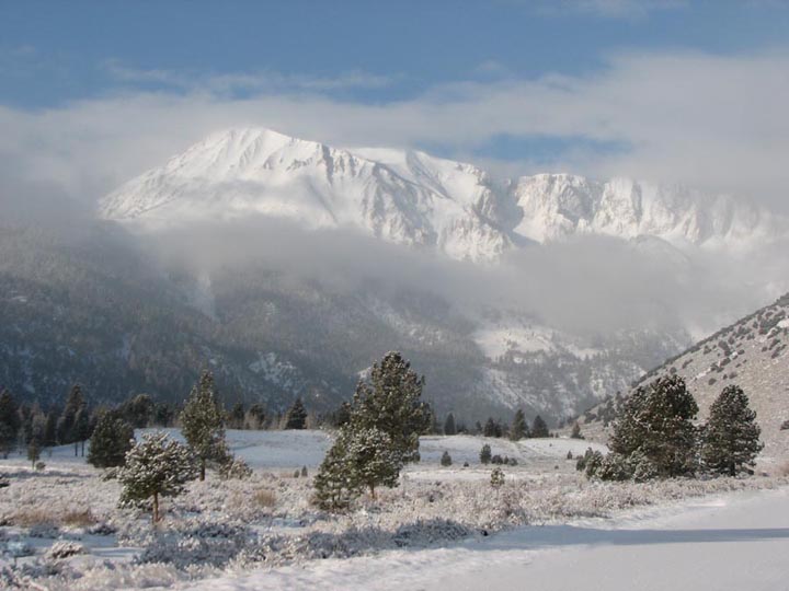 Foggy Mountain